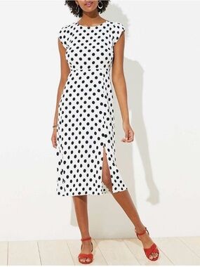 Loft size 10 Polka Dot Dress New With Tags